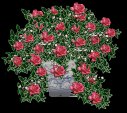 flowertube7-2.jpg (6408 bytes)